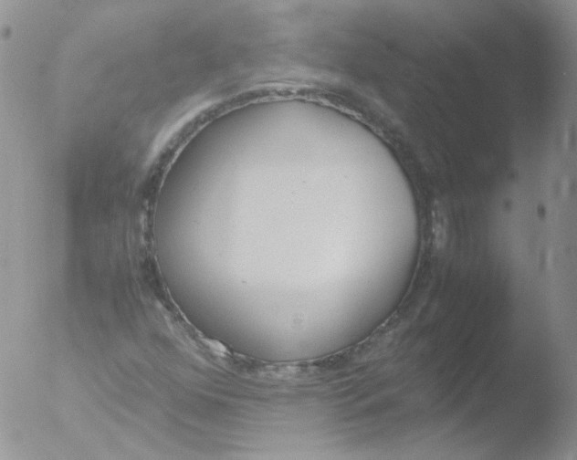 X0000051911352200507152020