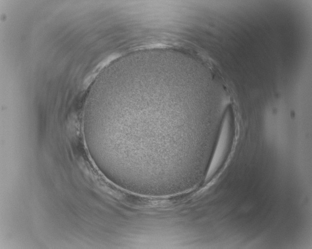 X0000051911353200507152020