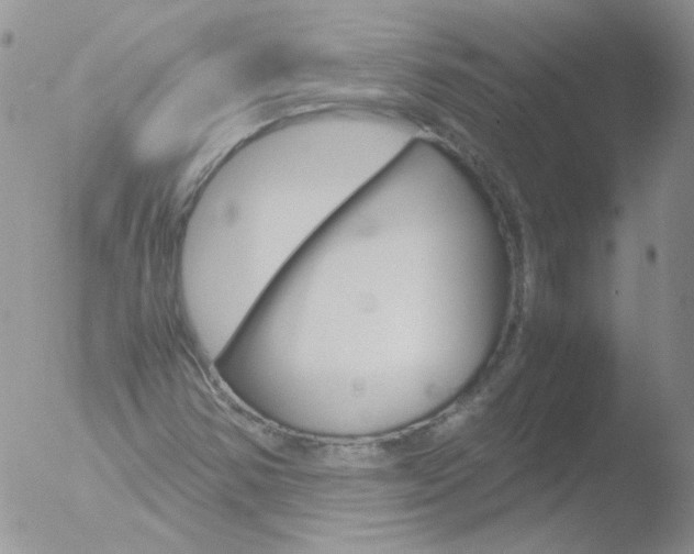 X0000051911354200507152020