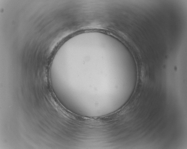 X0000051911356200507152020