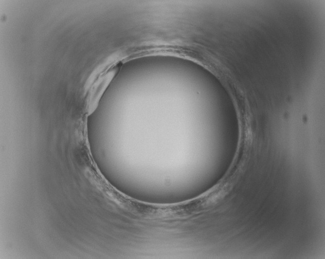 X0000051911357200507152020