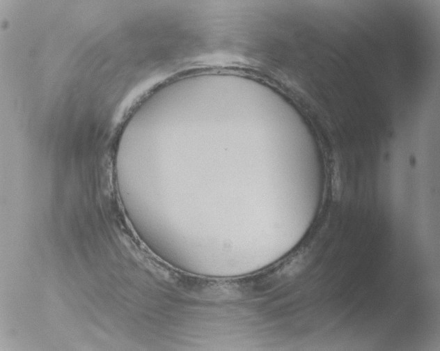 X0000051911358200507152020