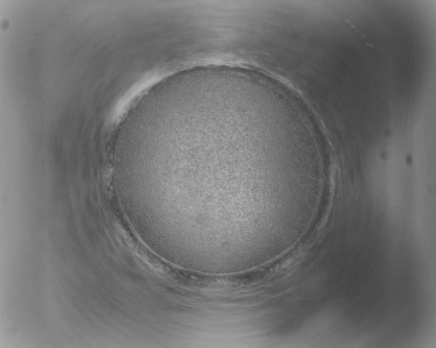 X0000051911359200507152020