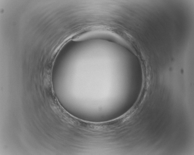 X0000051911361200507152020