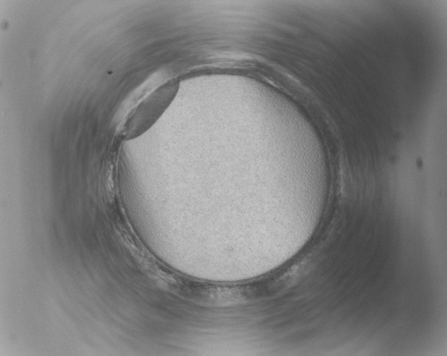 X0000051911362200507152020