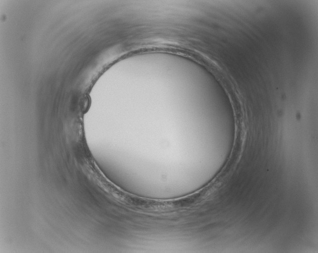 X0000051911363200507152020