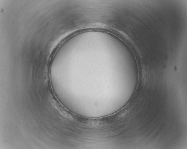 X0000051911364200507152020