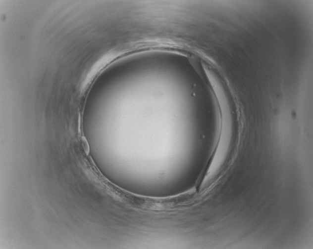 X0000051911365200507152020