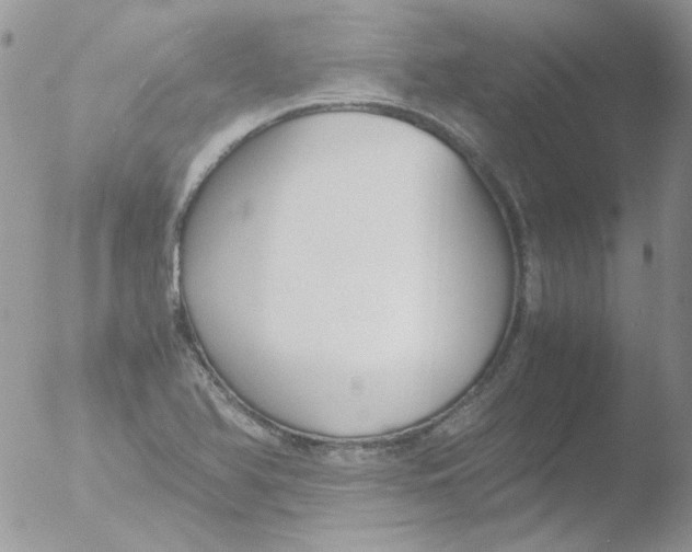 X0000051911366200507152020