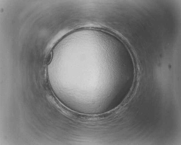 X0000051911367200507152020