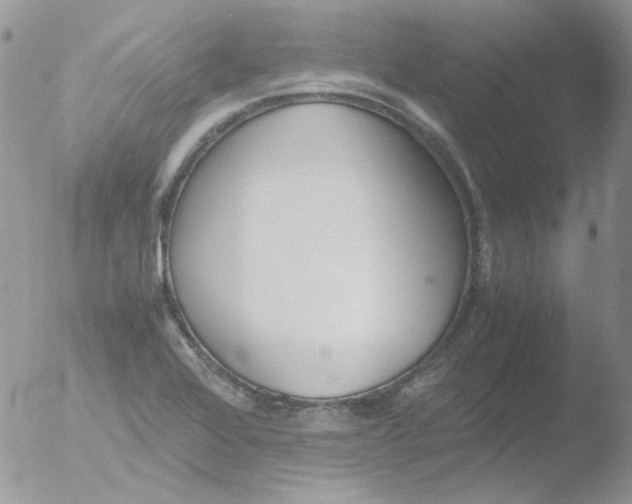 X0000051911368200507152020