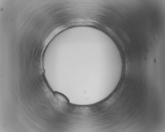 X0000051911370200507152020