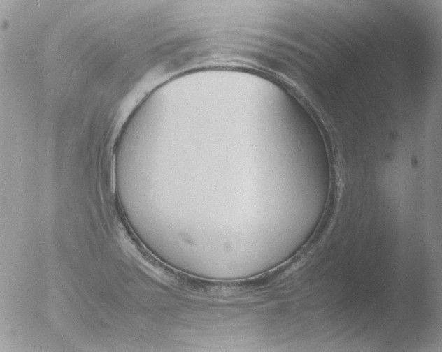 X0000051911371200507152020