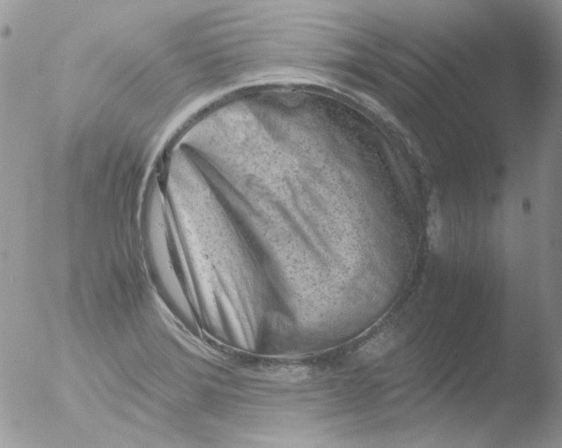 X0000051911372200507152020