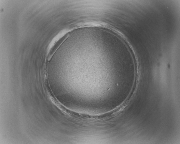 X0000051911373200507152020