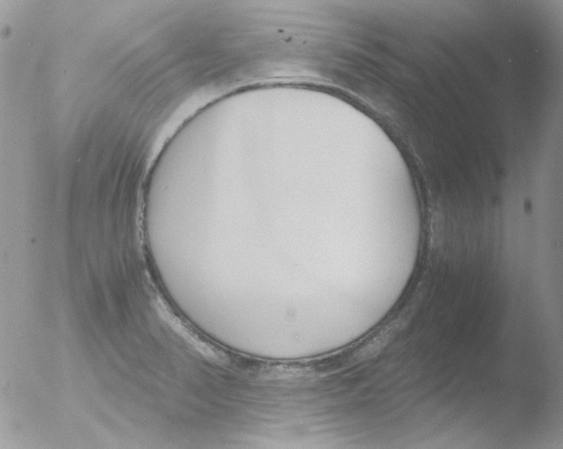 X0000051911374200507152019