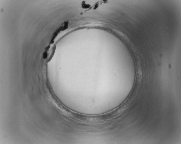 X0000051911375200507152019