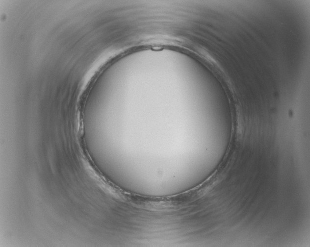 X0000051911376200507152019