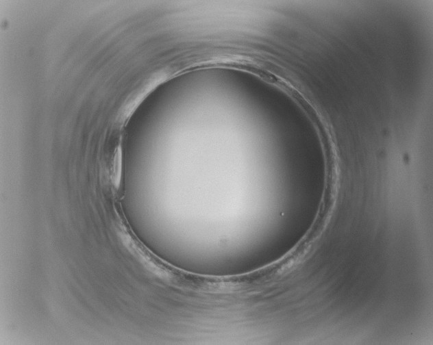 X0000051911377200507152019