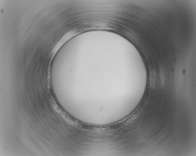 X0000051911378200507152019