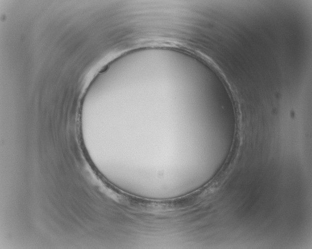 X0000051911379200507152019