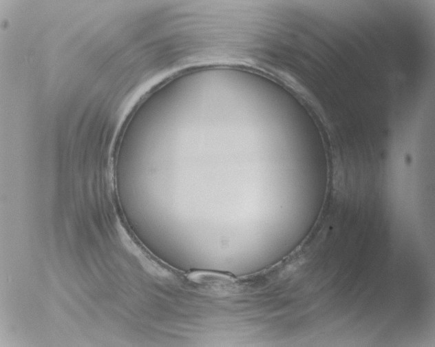 X0000051911380200507152019