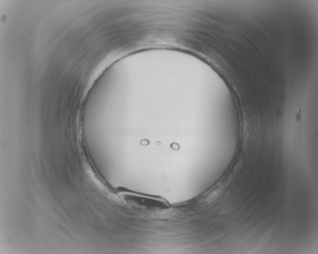 X0000051911382200507152019