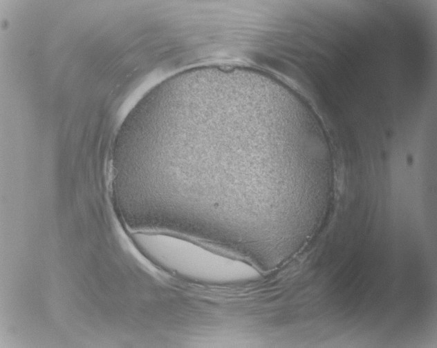 X0000051911383200507152019