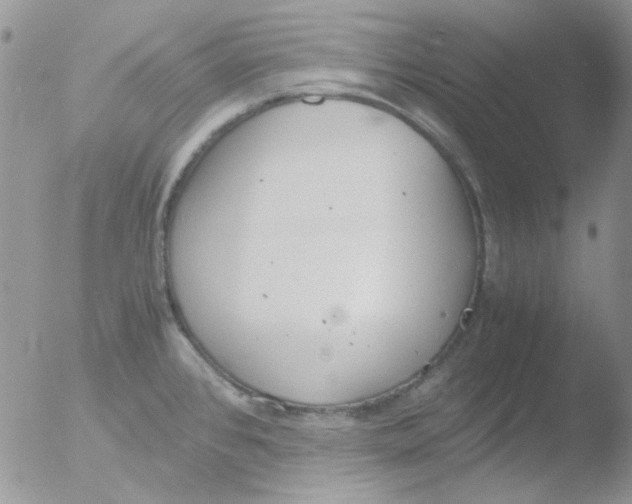 X0000051911384200507152019