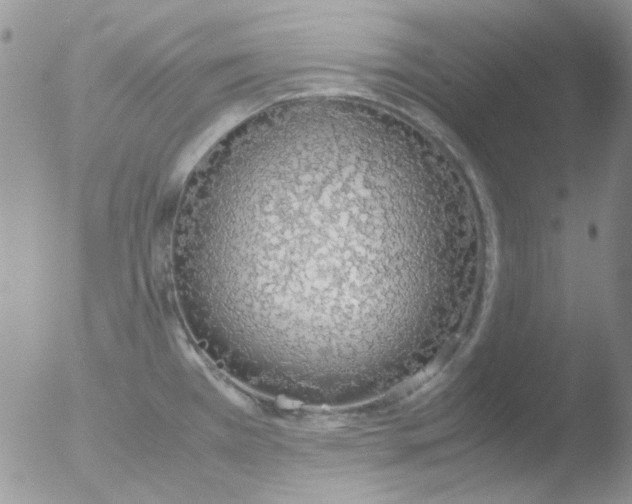 X0000051911385200507152019