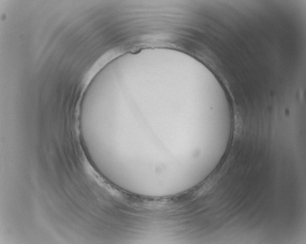 X0000051911386200507152019