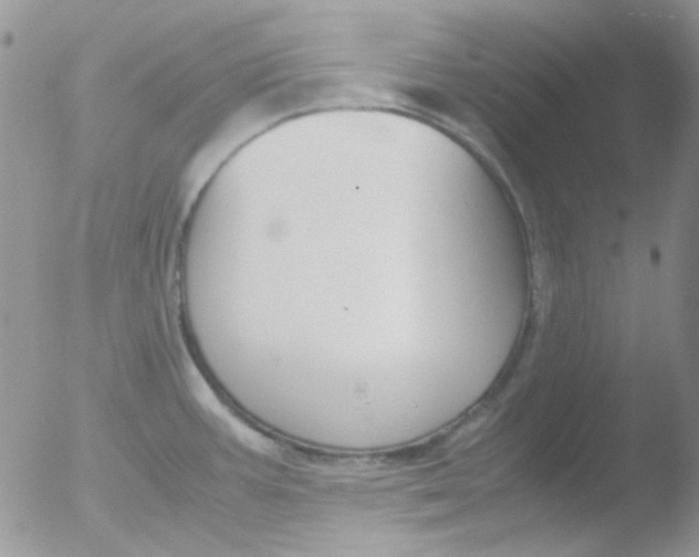 X0000051911387200507152019