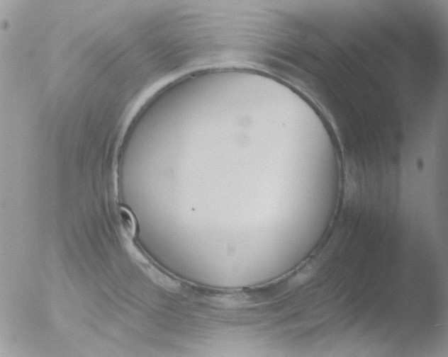 X0000051911388200507152019