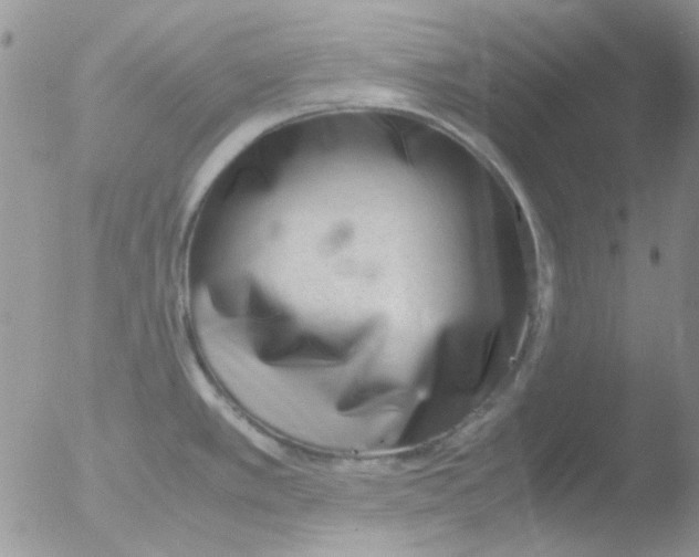 X0000051911389200507152019