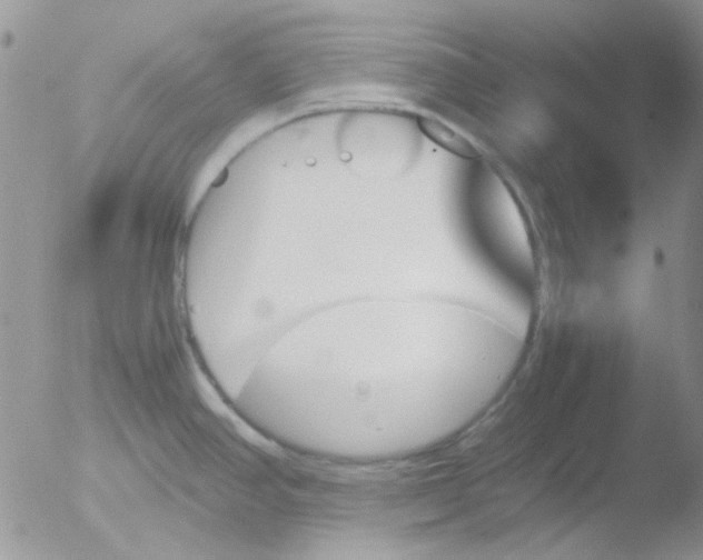 X0000051911390200507152019