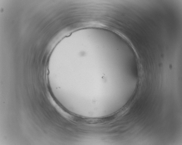 X0000051911391200507152019