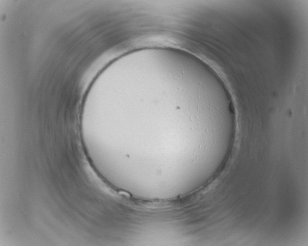 X0000051911392200507152019