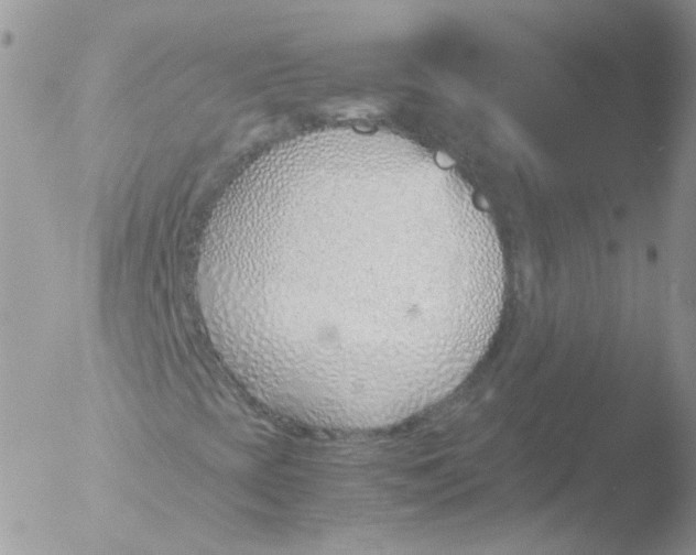 X0000051911393200507152018