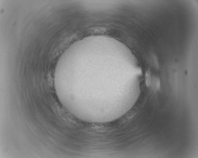 X0000051911395200507152018