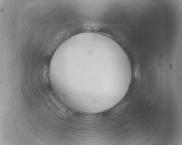 X0000051911396200507152018