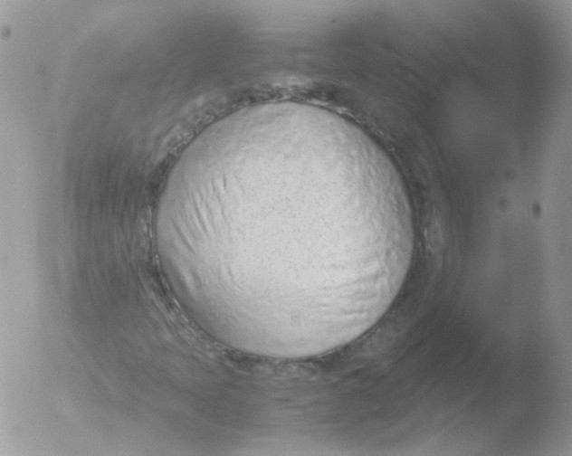 X0000051911397200507152018