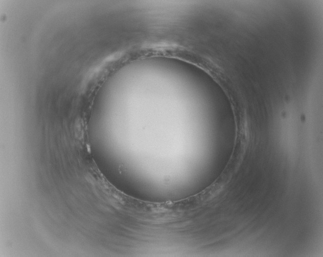 X0000051911398200507152018