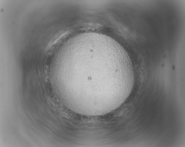 X0000051911399200507152018