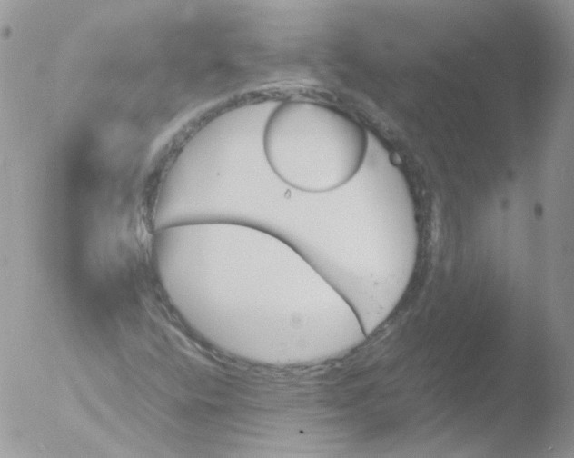 X0000051911400200507152019