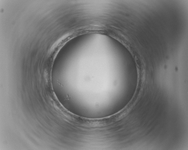 X0000051911402200507152019