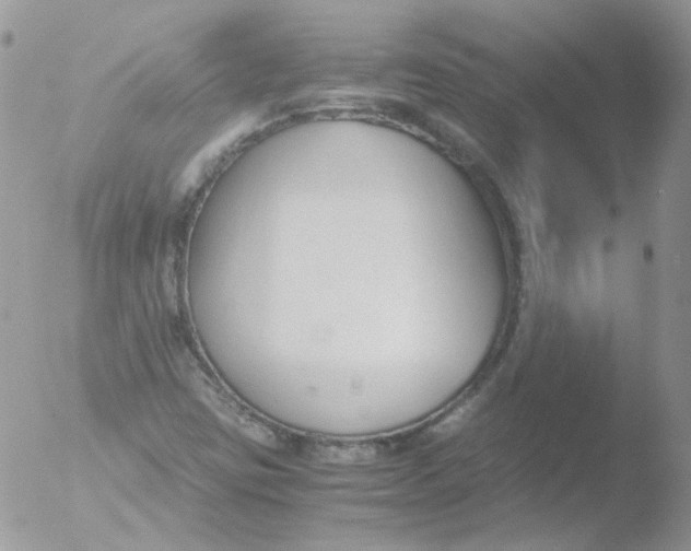 X0000051911403200507152019