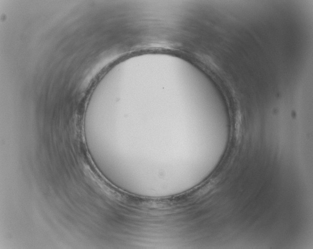 X0000051911404200507152019