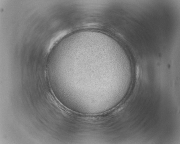 X0000051911405200507152019