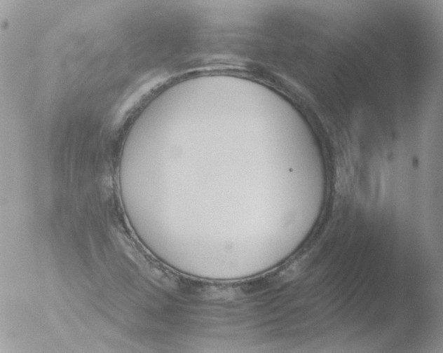 X0000051911407200507152019