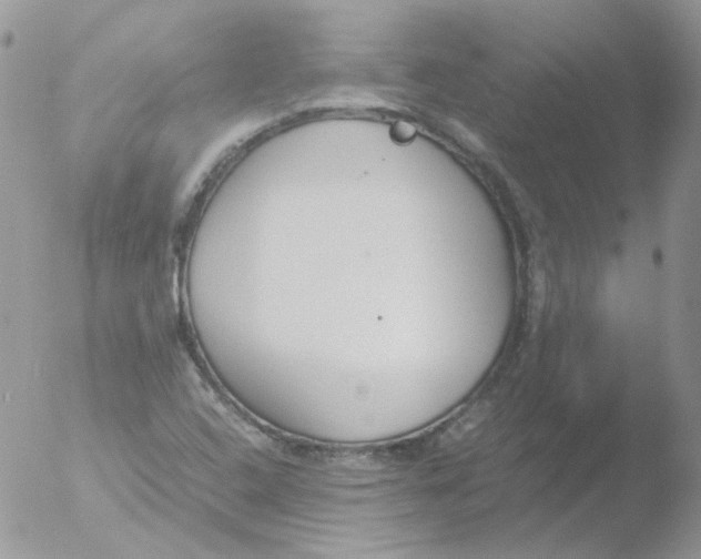 X0000051911408200507152019